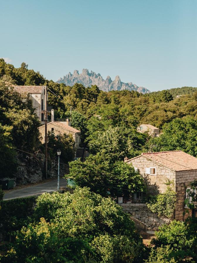 Auberge U N'Antru Versu San-Gavino-di-Carbini Экстерьер фото